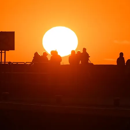 Zlota Palma -domki Caloroczne Nad Morzem 롯지